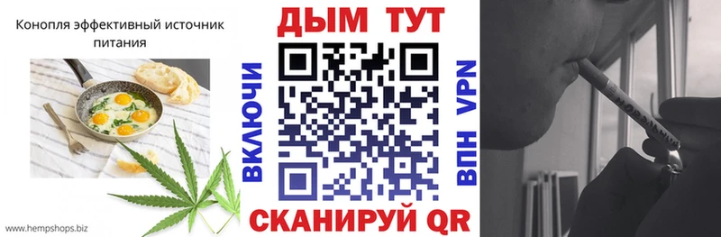 Cannafood конопля  Шебекино 