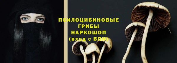 2c-b Абаза