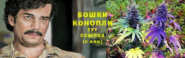 2c-b Абаза