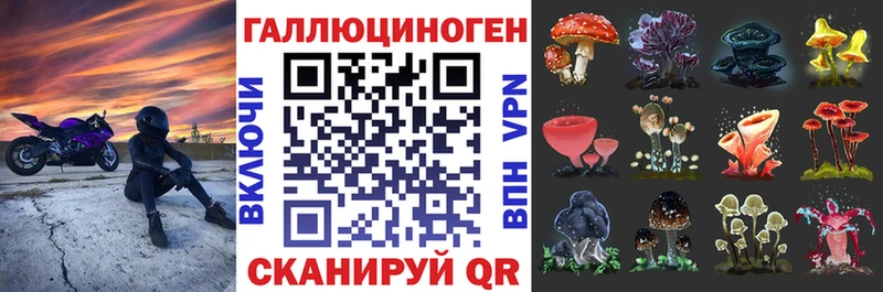 закладки  Шебекино  Галлюциногенные грибы прущие грибы 