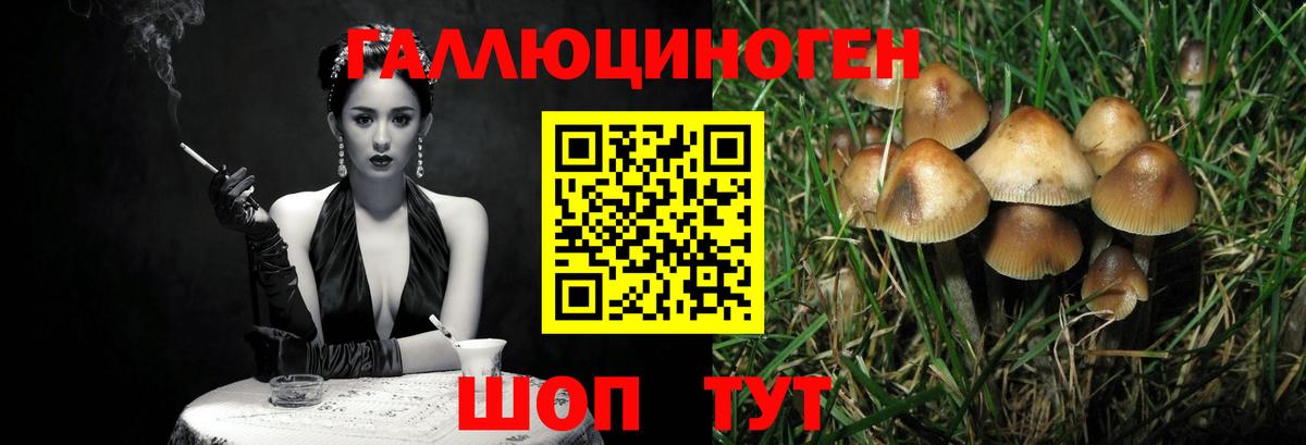 Шебекино  Псилоцибиновые грибы мицелий  Вход с VPN 